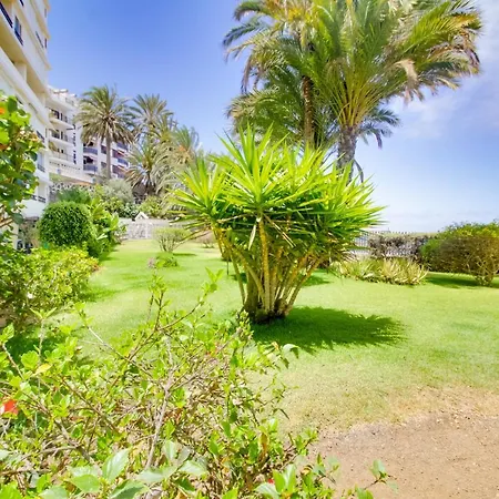 Direct At The - Arguineguin